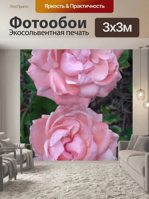 Фотообои Пионы