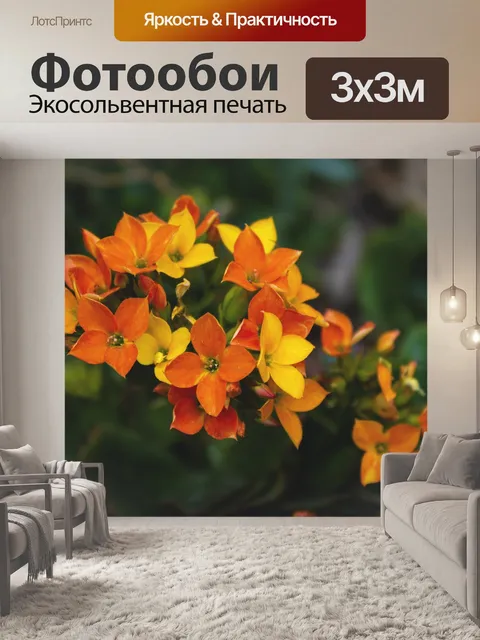 Фотообои Цветы