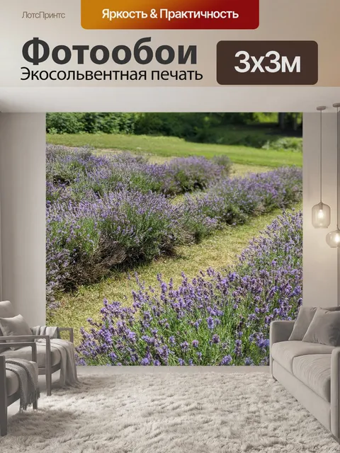 Фотообои Лаванда