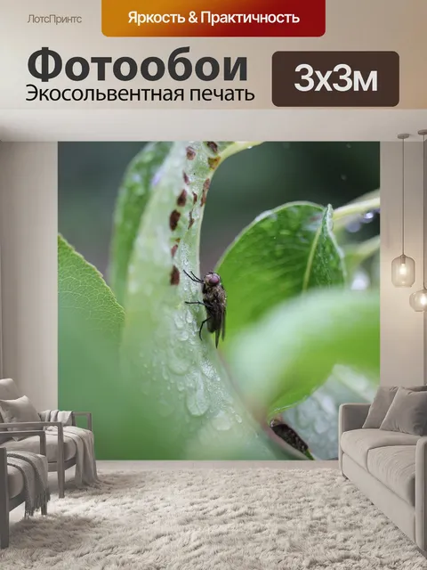Фотообои Летать