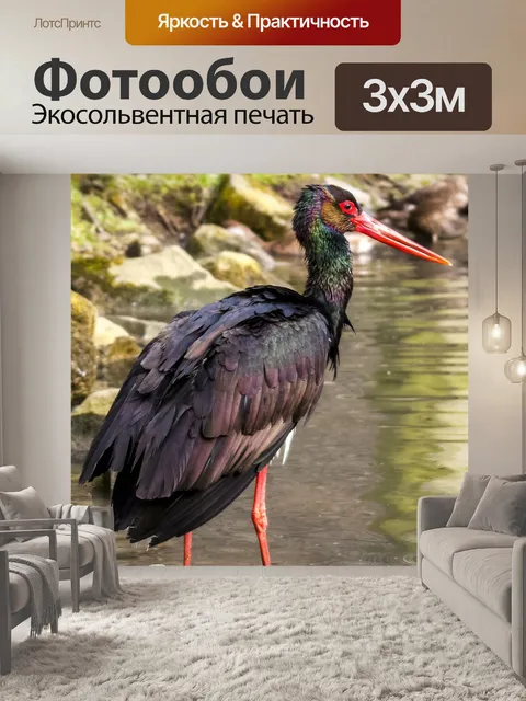 Фотообои Аист