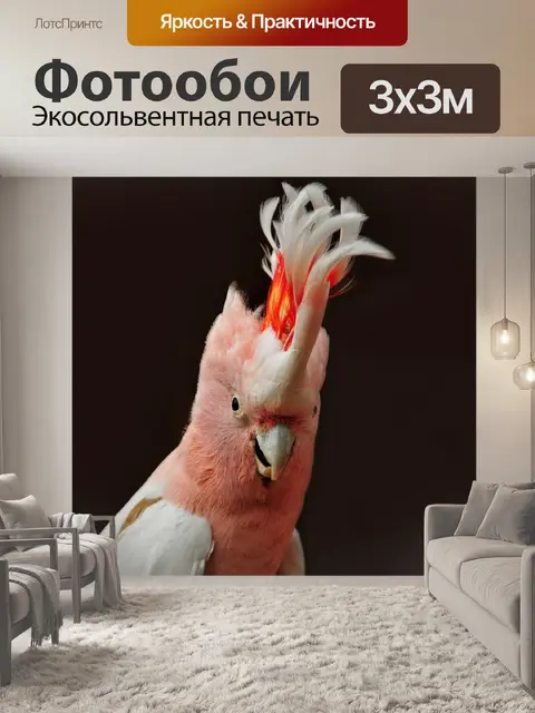Фотообои Какаду