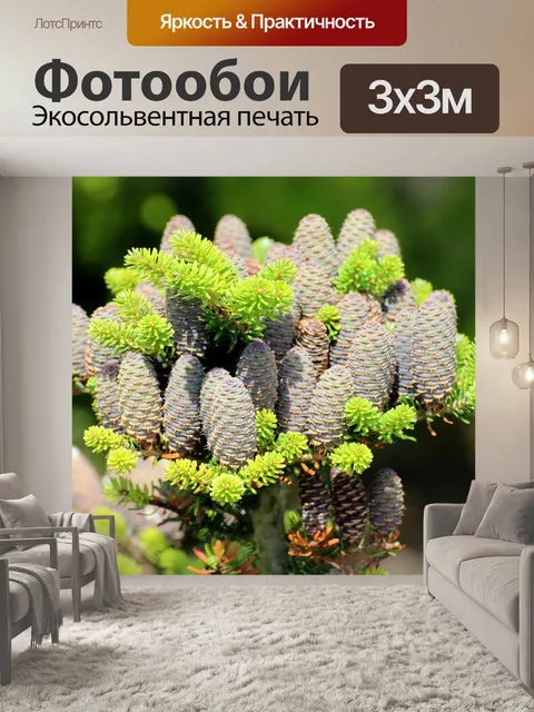 Фотообои Дерево