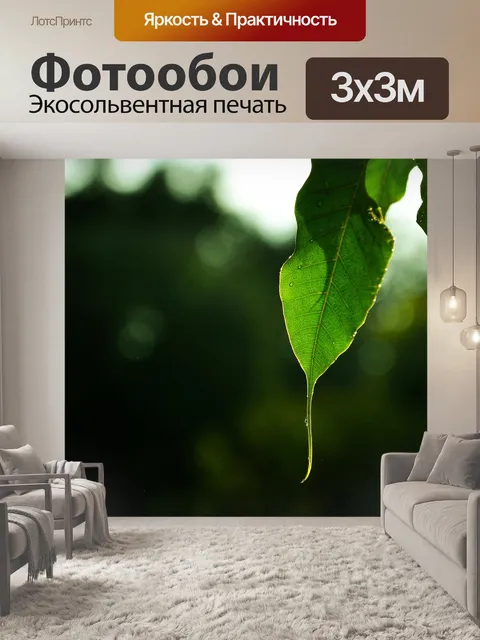 Фотообои Лист