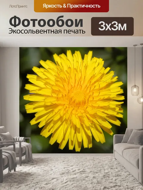 Фотообои Одуванчик