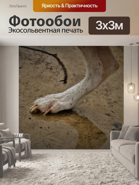 Фотообои Лапа собаки