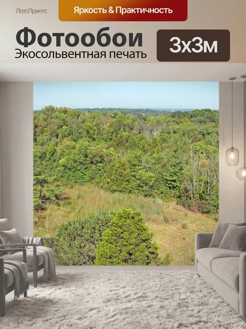 Фотообои Деревья в парке