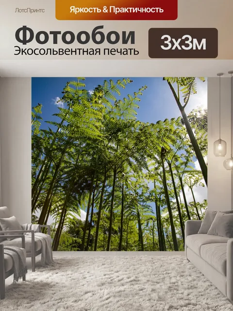 Фотообои папоротник