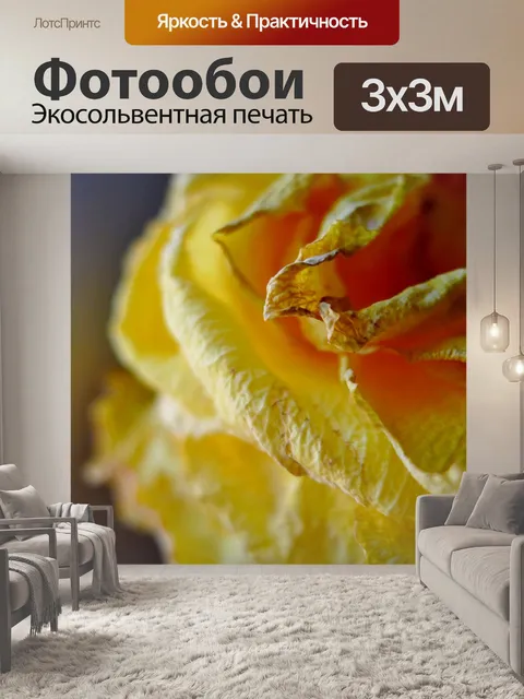 Фотообои выцветания дружбу