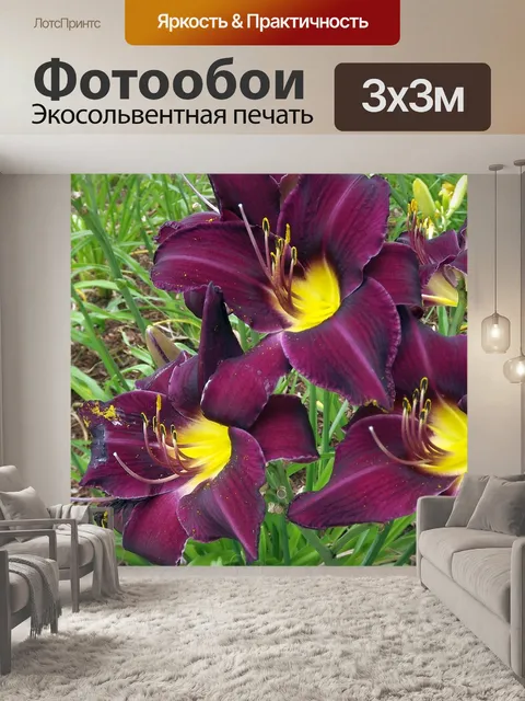 Фотообои Цветы
