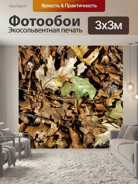 Фотообои осенние листья фон