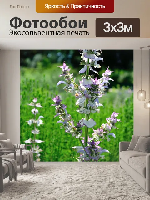 Фотообои Цветы