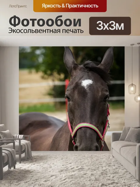 Фотообои Лошадь