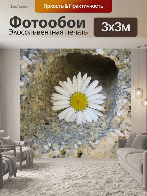 Фотообои Маргаритка