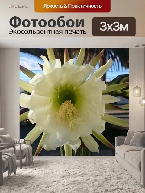 Фотообои Цветок