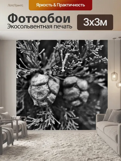 Фотообои Семена Хвойные б &amp; W