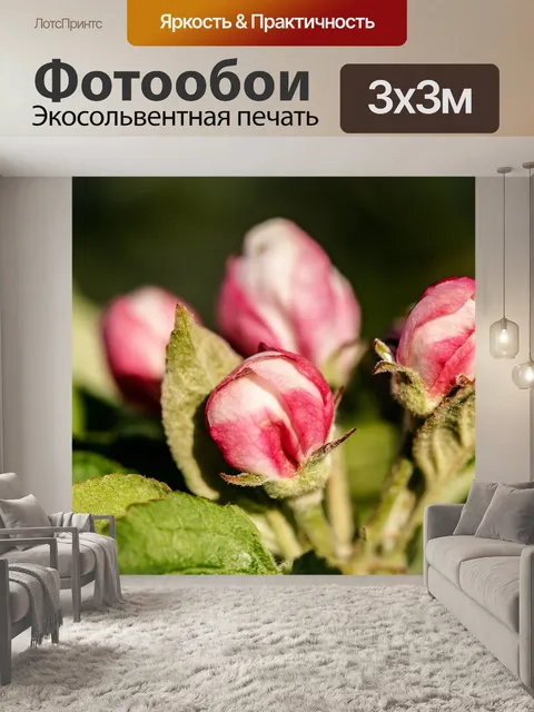 Фотообои Цветение яблони