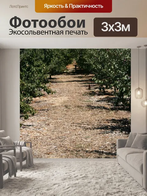 Фотообои Калифорния фруктовый сад