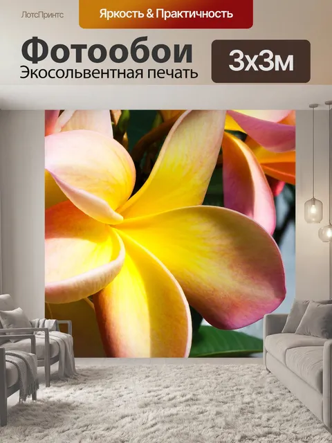 Фотообои Цветок