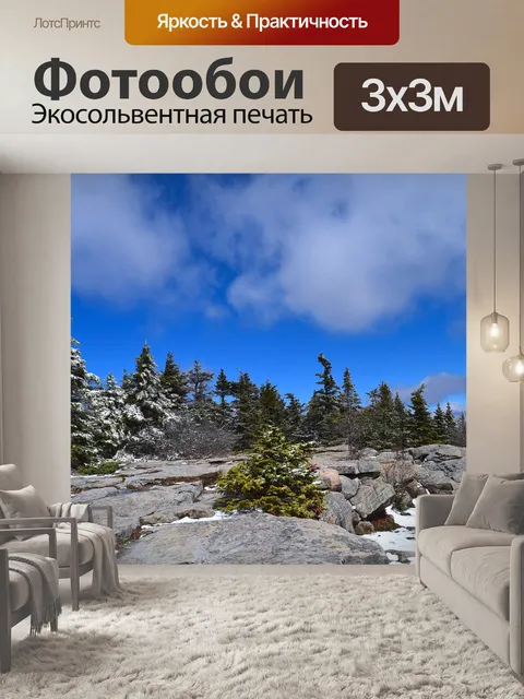 Фотообои Сосны