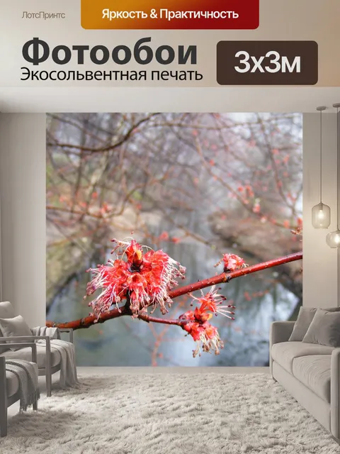 Фотообои Весна