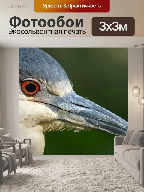 Фотообои Дикая природа