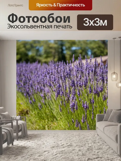Фотообои Лаванда