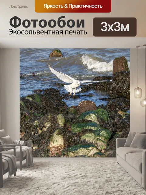 Фотообои Чайка