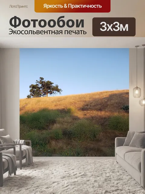 Фотообои Дуб на траве холма