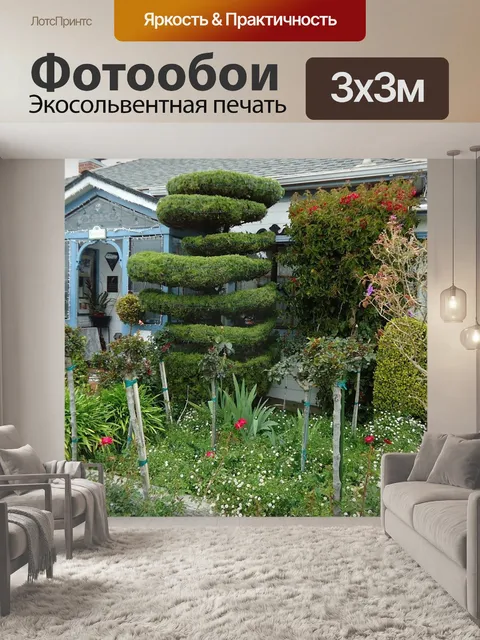 Фотообои Калифорния