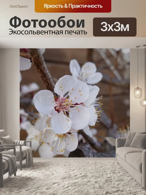 Фотообои Цветение вишни