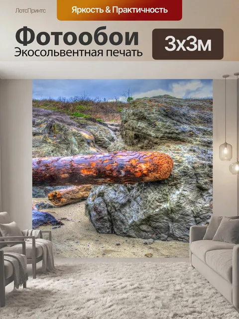 Фотообои Бревно вымыто на берегу