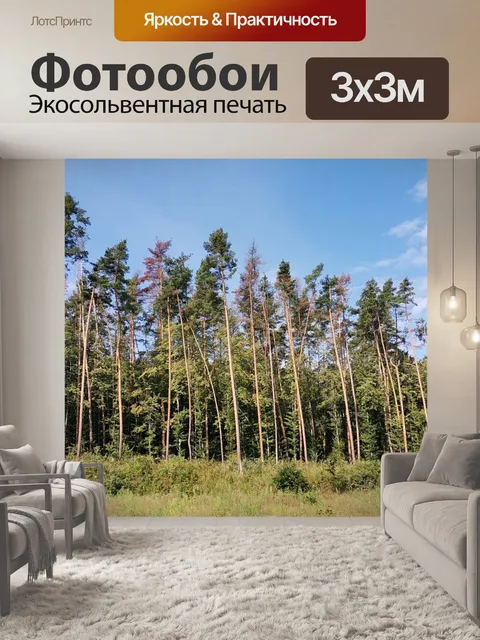 Фотообои Дерево