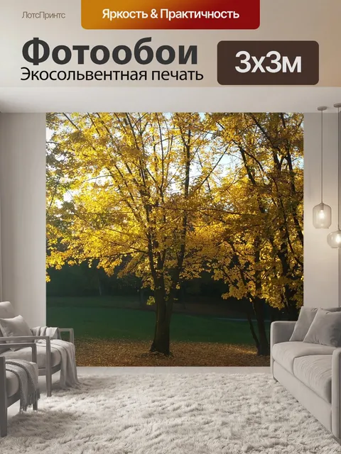 Фотообои Тихий