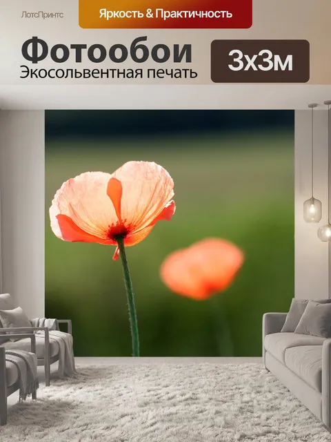 Фотообои Маки