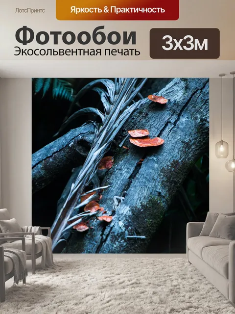Фотообои Гриб