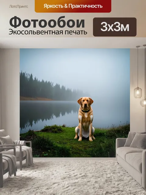Фотообои лабрадор, сидящий на берегу озера в тумане, атмосферный и загадочный