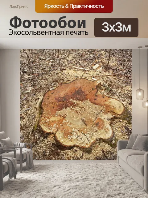 Фотообои Пень