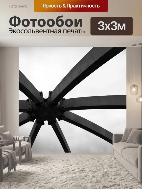 Фотообои Черное и белое