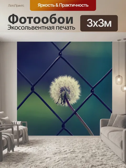 Фотообои Одуванчик