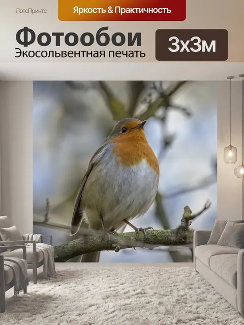 Фотообои Робин Эритакус рубекула