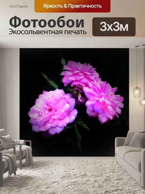 Фотообои Цветы