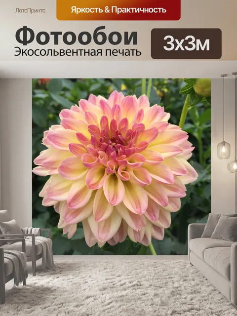 Фотообои Далия