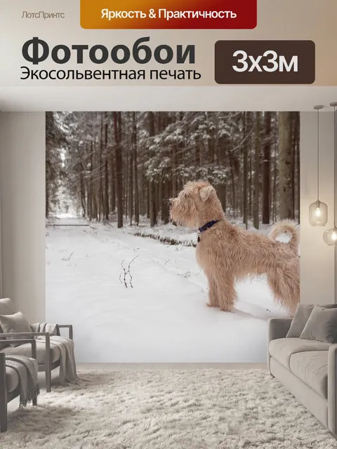 Фотообои Собака