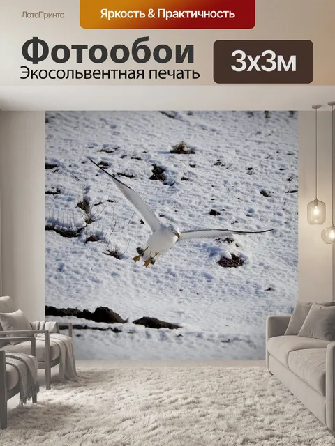 Фотообои Животное