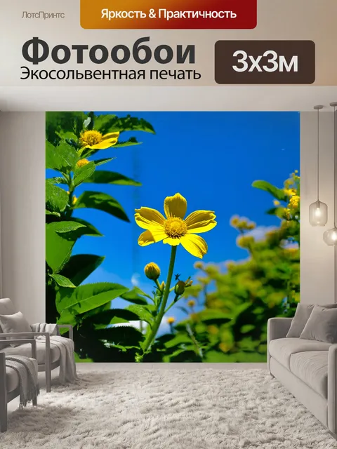 Фотообои зверобой, яркий желтый цветок, распускает свои лепестки под солнечными лучами