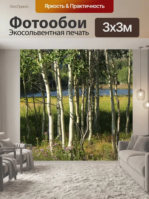 Фотообои Березы