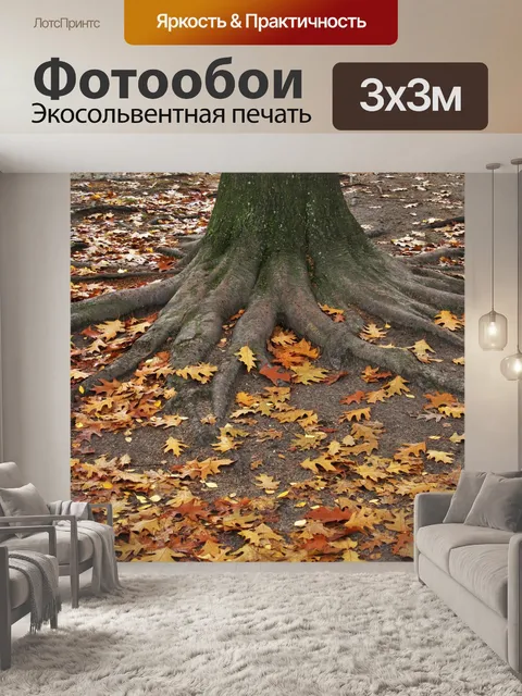 Фотообои Американский дуб