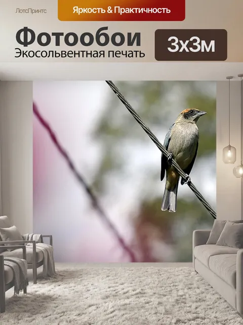 Фотообои Кафельная плитка