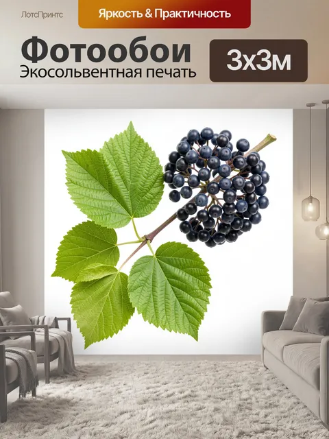 Фотообои Темные ягоды и зеленые листья